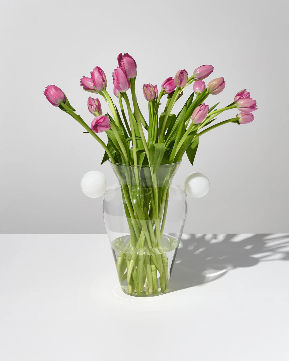 Fazeek Geo Urn in Clear and White