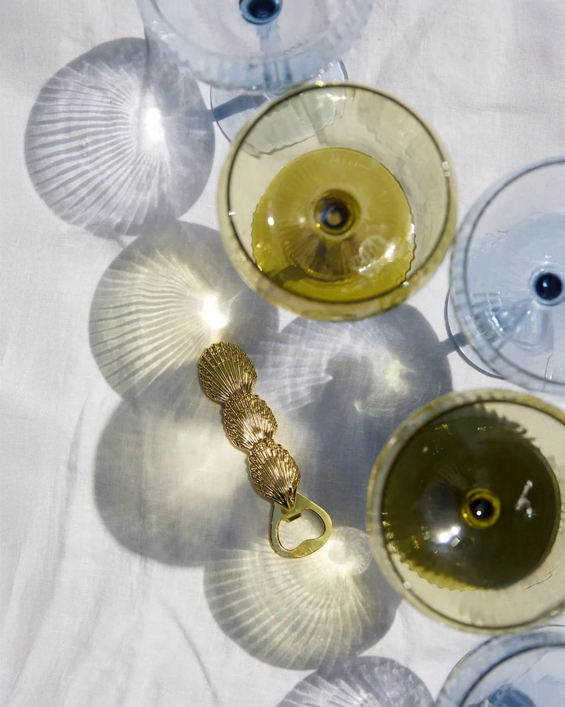 Here's How The Theo Shell Bottle Opener