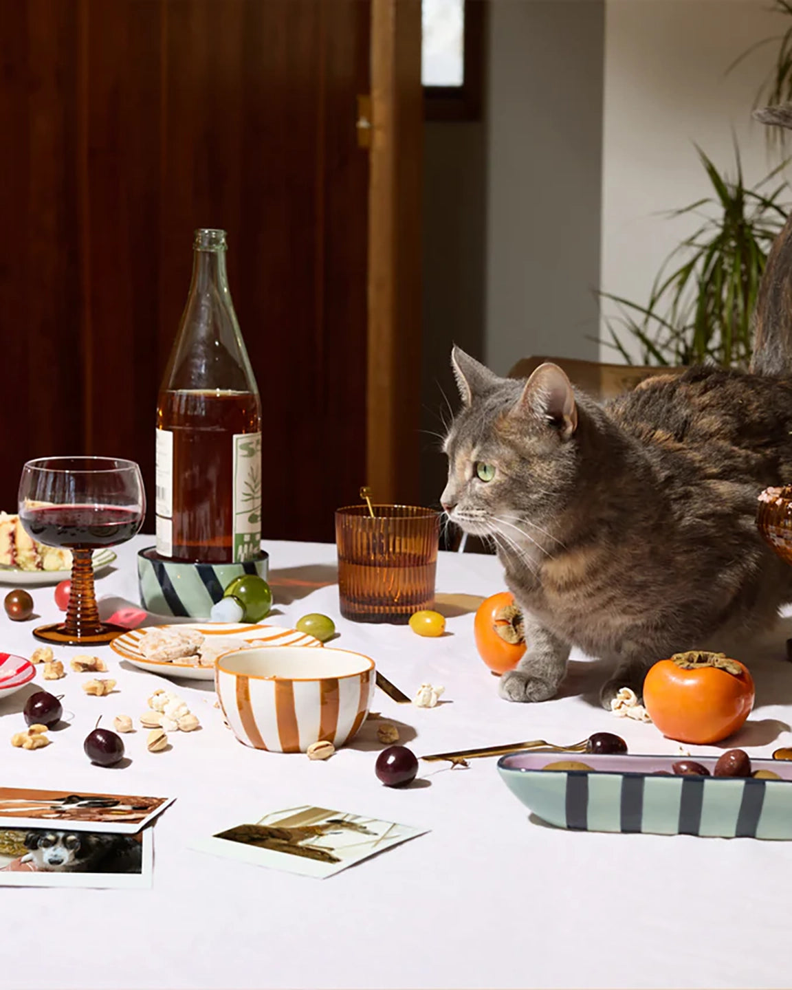 Here's How The Izzy Wine Coaster in Blue and Green Stripe