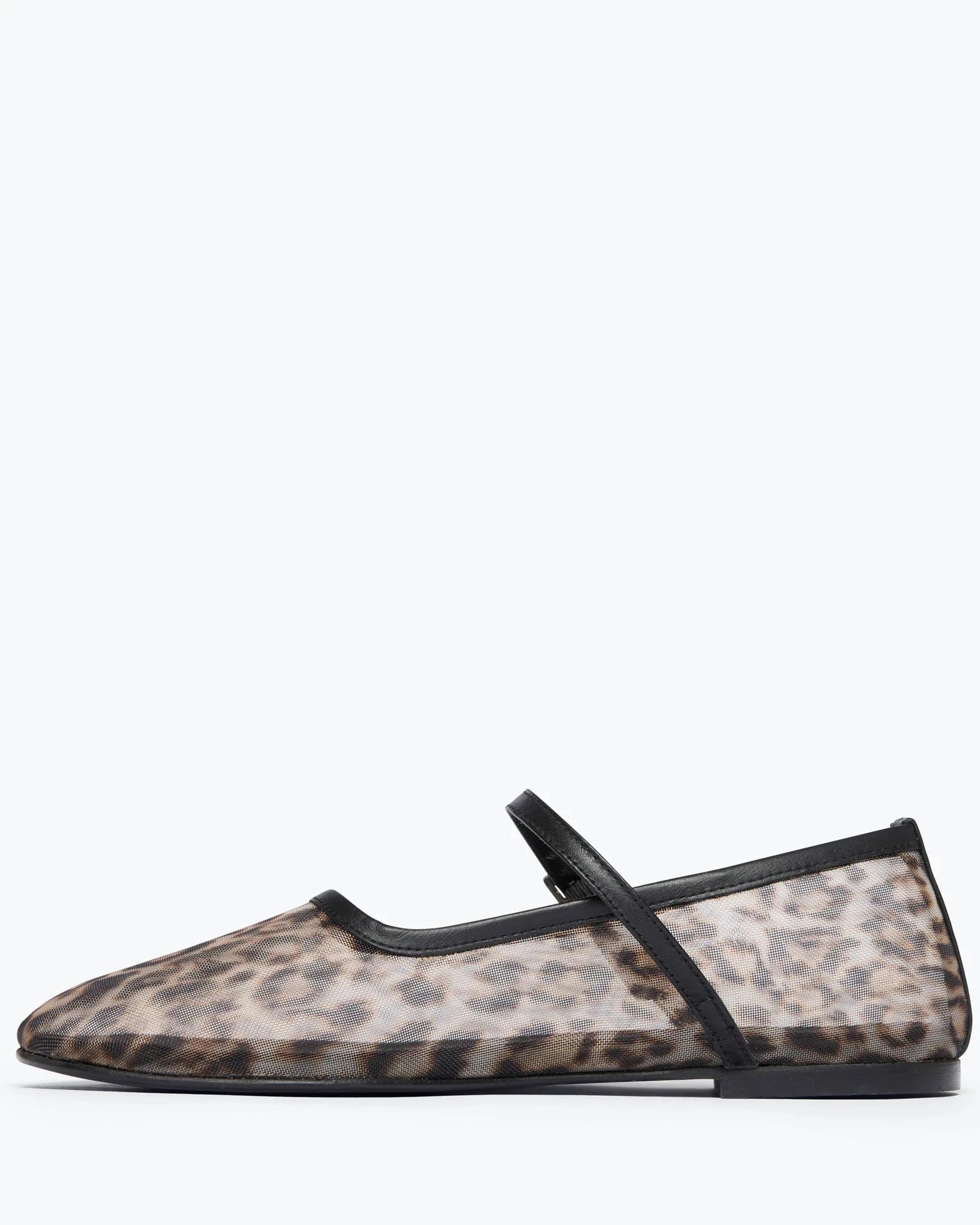 Leopard print flat shoe with a black strap on a white background