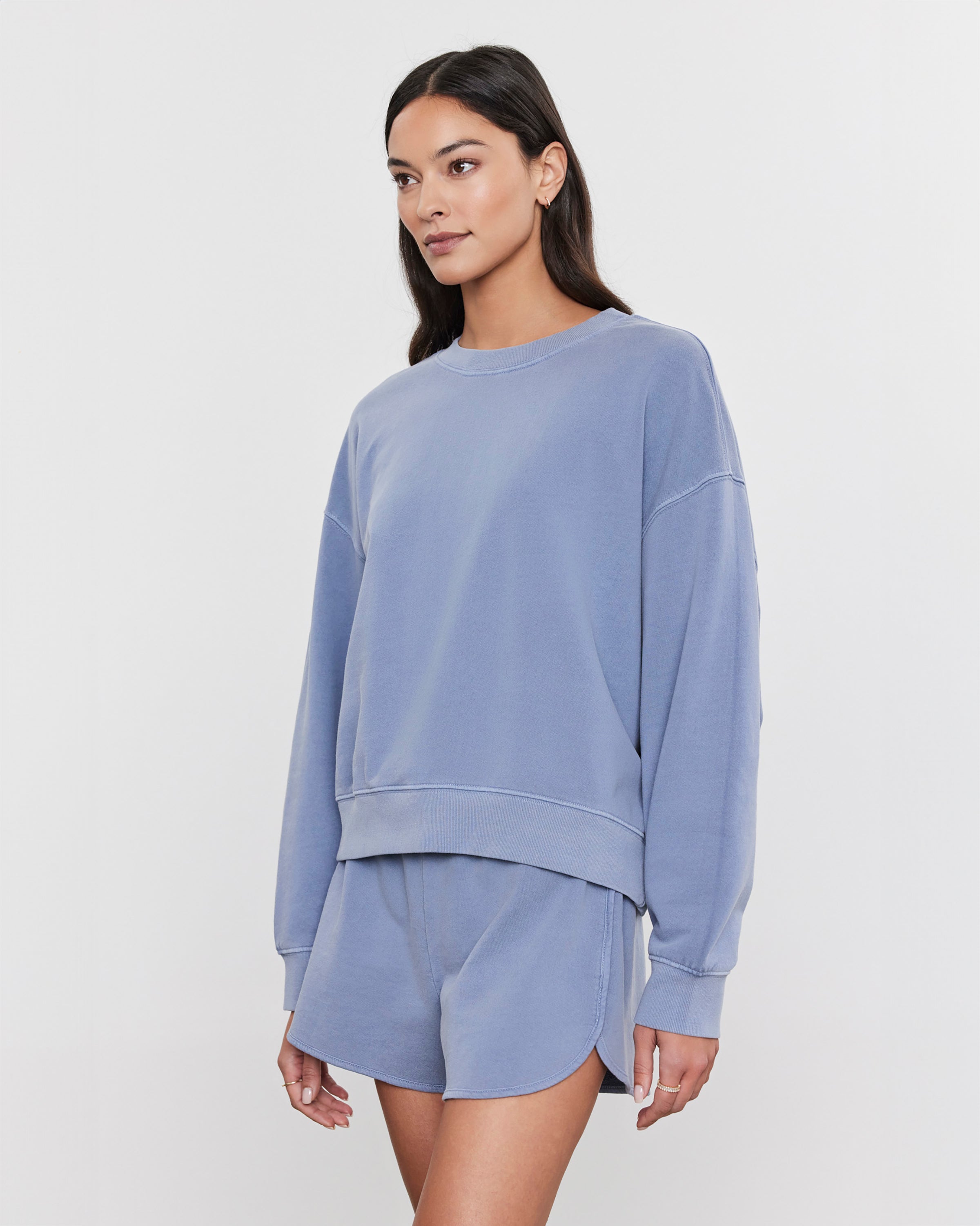 velvet by Graham and Spencer Skylar Sweatshirt in Blue Haze two birds